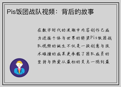 Pis饭团战队视频：背后的故事